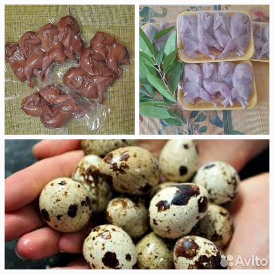 Мясо и яйца домашних перепелок