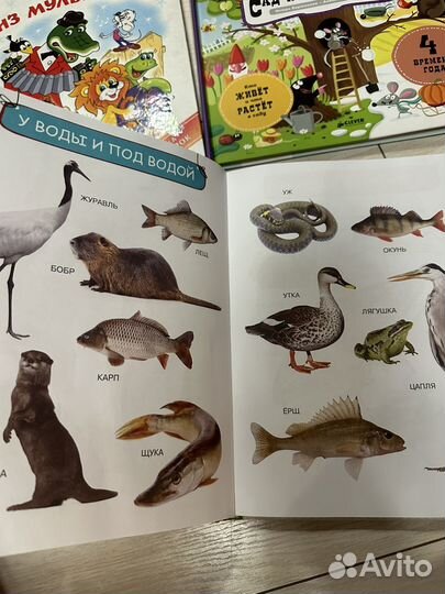 Книги детские развивающие