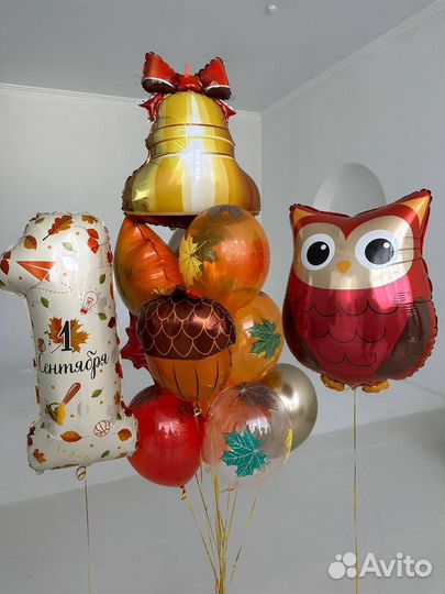 Воздушные и гелиевые шарики на 1 сентября