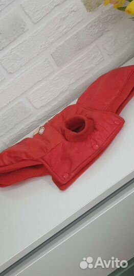 Наряды для мелкой породы собак