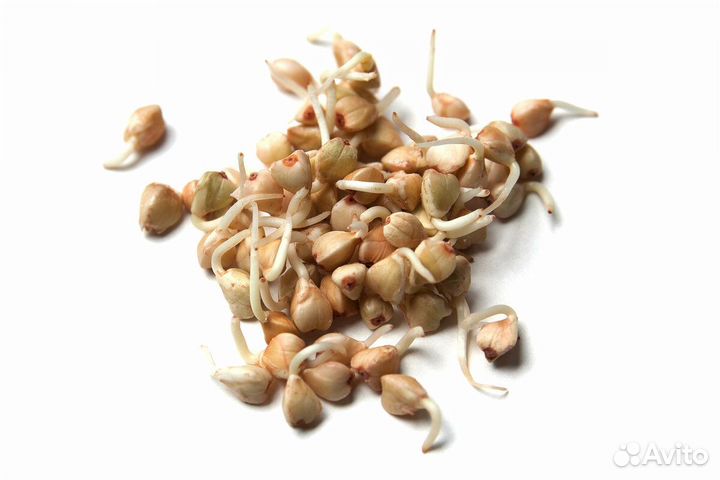 Спорт пророст. гречки