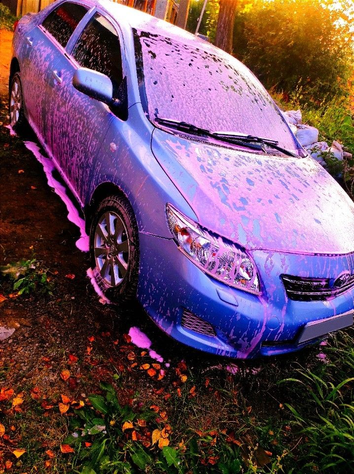 Toyota Corolla: фото владельца