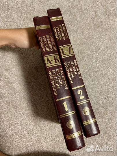 Большой немецко-русский словарь