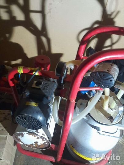 Доильный аппарат для коров