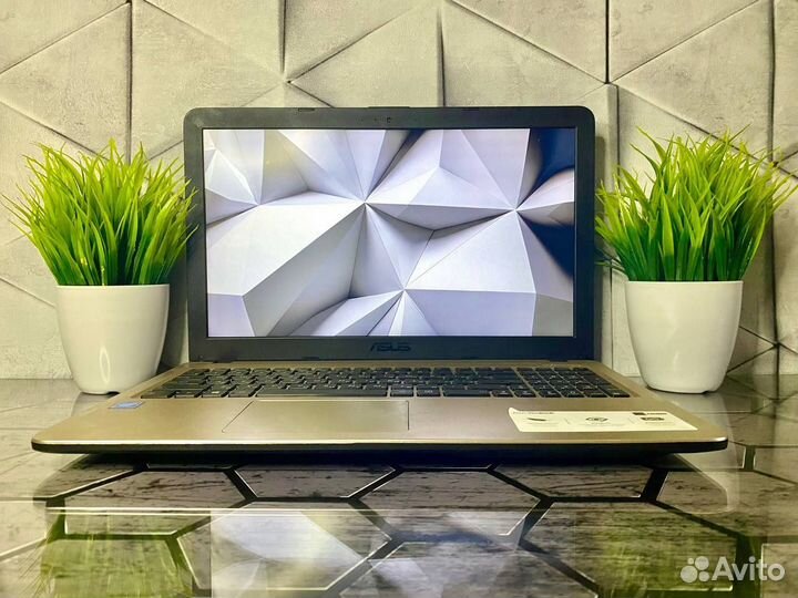 Шустрый Ноутбук asus/N4000/SSD/UHD Graphics
