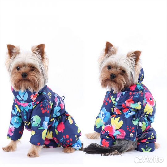 Одежда для собак