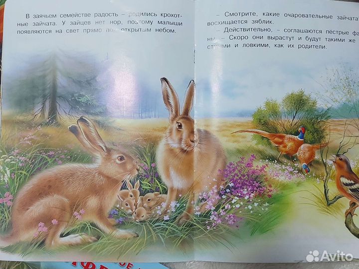 Ирина Гурина Ежик Гоша и другие книги