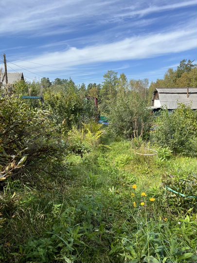 Дача 10 м² на участке 7,2 сот.