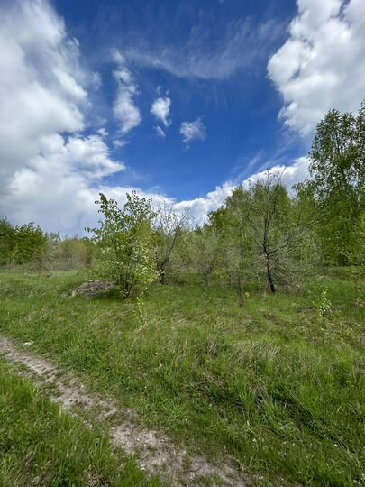 Участок 15 сот. (ИЖС)