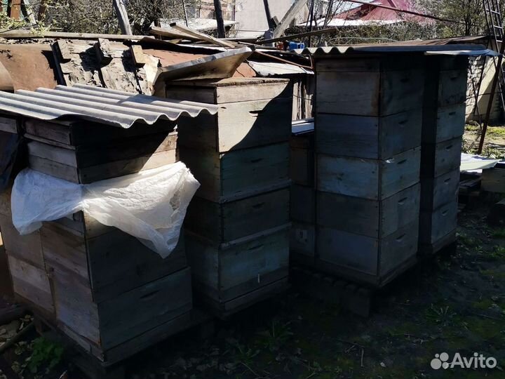 Все для разведения пчёл