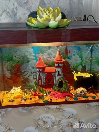 Аквариум с рыбками