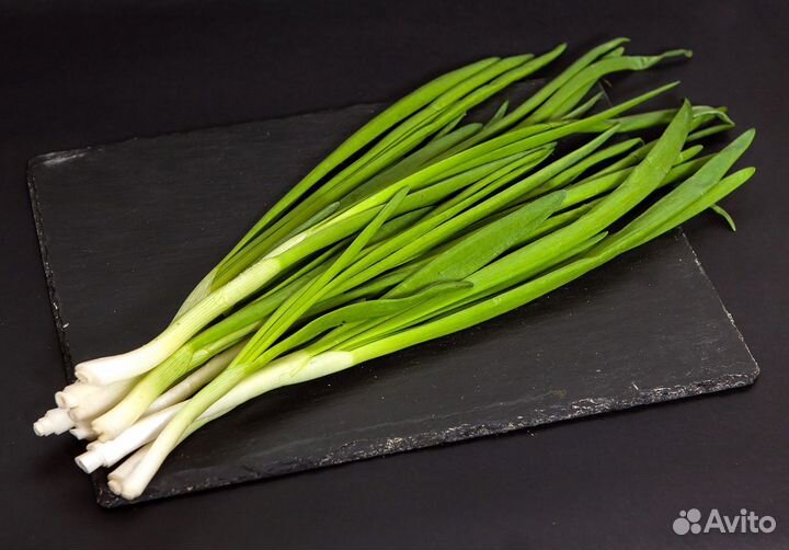 Лук зелёный
