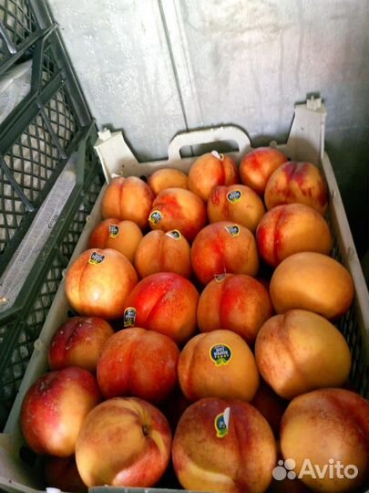 Овощи и фрукты оптом