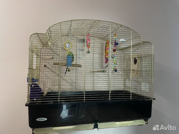 Клетка для попугая