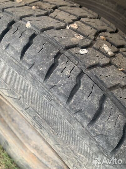 Бычок на разбор