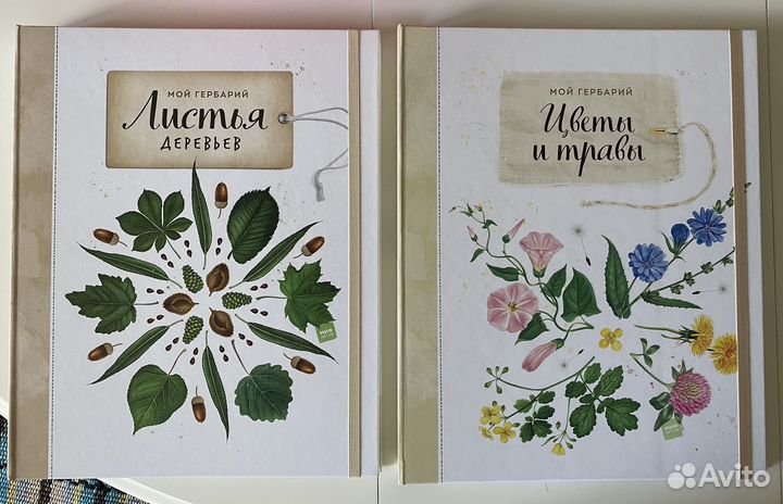 Детские книги Листья деревьев Цветы и травы новые