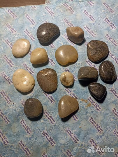 Аква Интерьер для аквариума