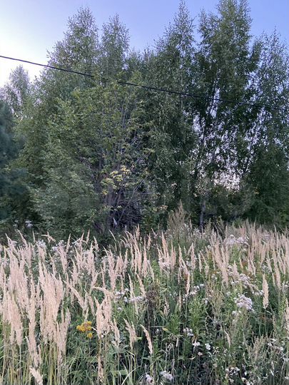 Участок 15 сот. (ИЖС)