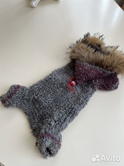 Костюм для собаки