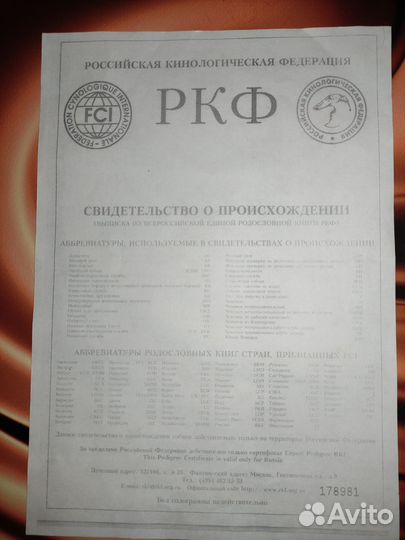 Щенки лабрадора