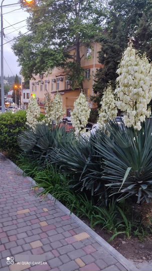 Дом 100 м² на участке 3 сот.