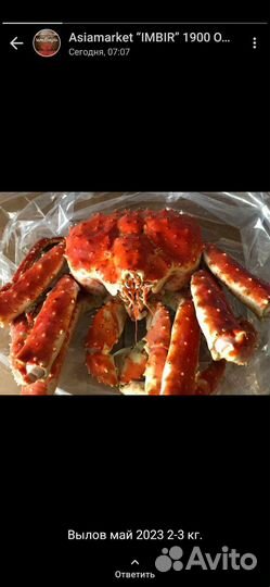 Краб камчатский королевский