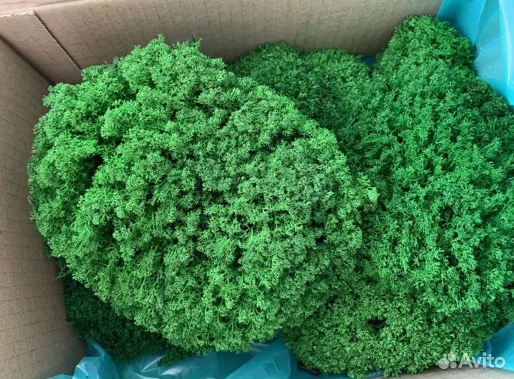 Стабилизированный мох экодизайн,панно