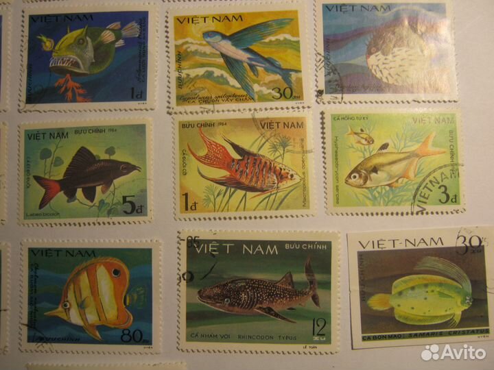 Серия марок Рыбы