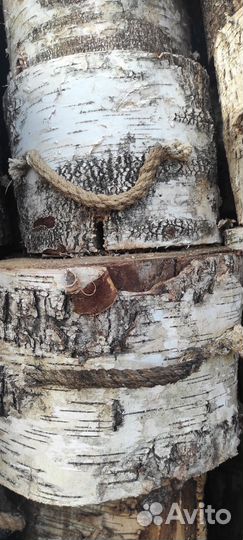 Дрова Финская свеча берёза