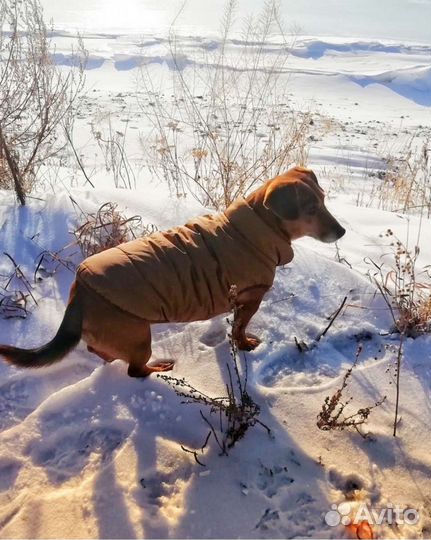 Жилет на меху для собак новый