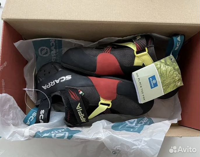 Скальные туфли