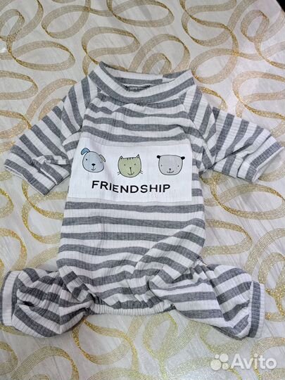 Одежда для собак мелких пород мальчик