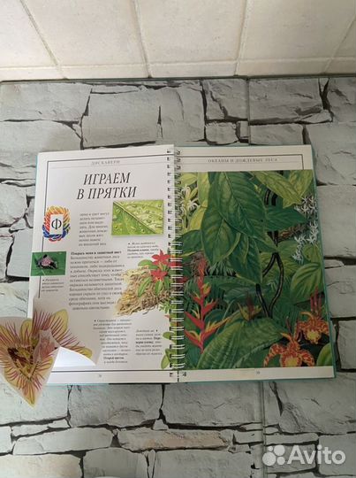 Книги интерактивные, энциклопедии