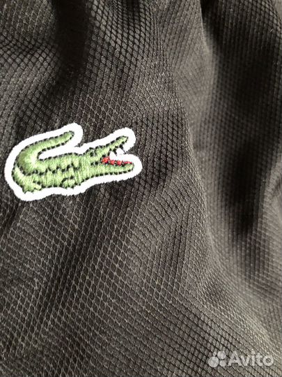 Спортивные штаны lacoste