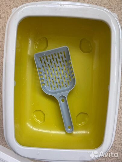 Отдам котенка вместе с домиками и лотком, 3 месяца