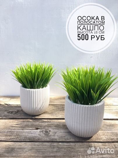 Искусственная зелень осока в кашпо для декора