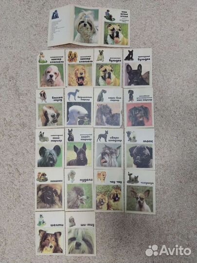 Набор открыток