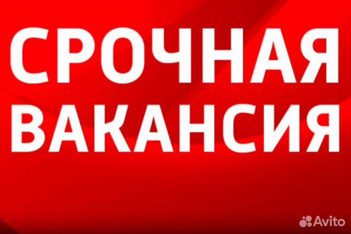 Диспетчер по транспорту