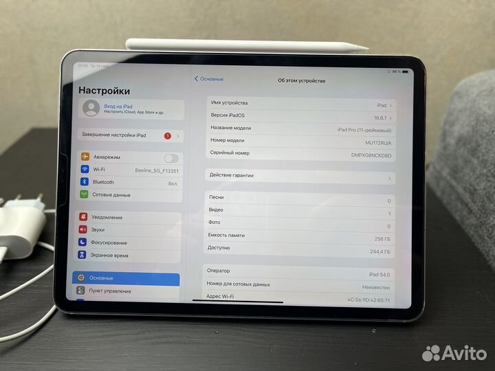 iPad Pro 11 256GB Wi-Fi + Cellular + Pencil 2