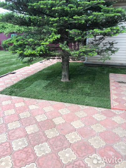 Укладка рулонных газонов под ключ