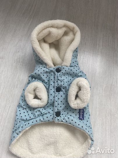 Одежда для маленькой собачки