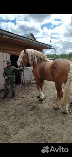 Советский тяжеловоз