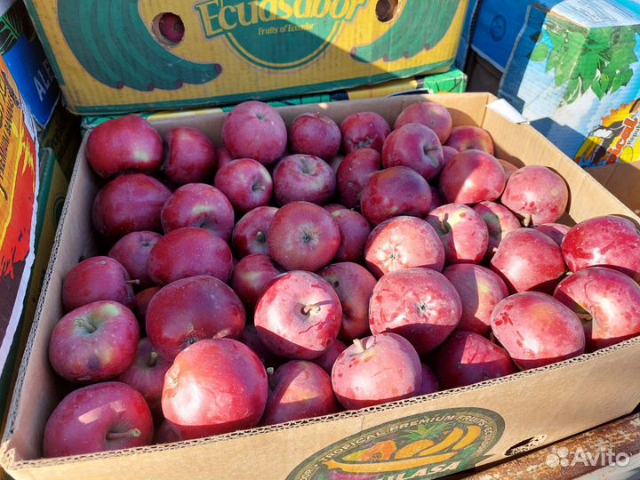 Яблоки оптом