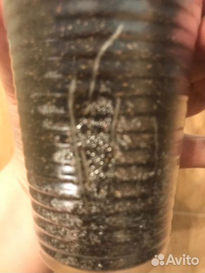 Пеларгония герань Эрик Дракон и Розы