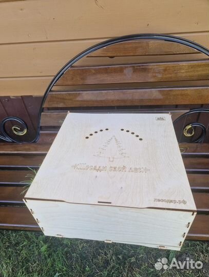 Сеянцы сосны зкс опт