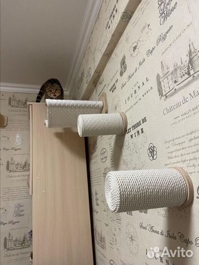 Когтеточка настенная, полка, комплекс