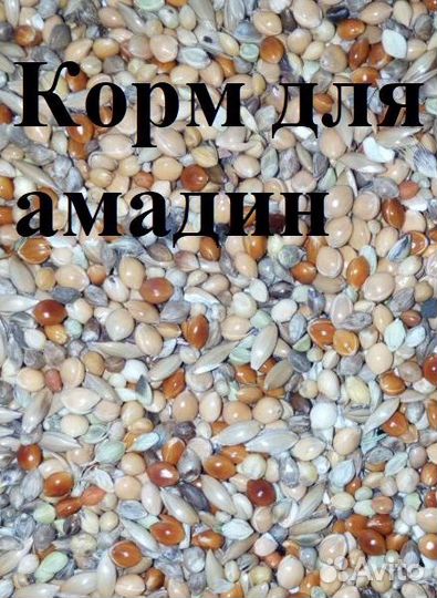 Корм для амадин, канареек и попугаев