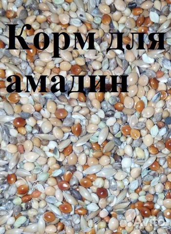 Корм для амадин, канареек и попугаев