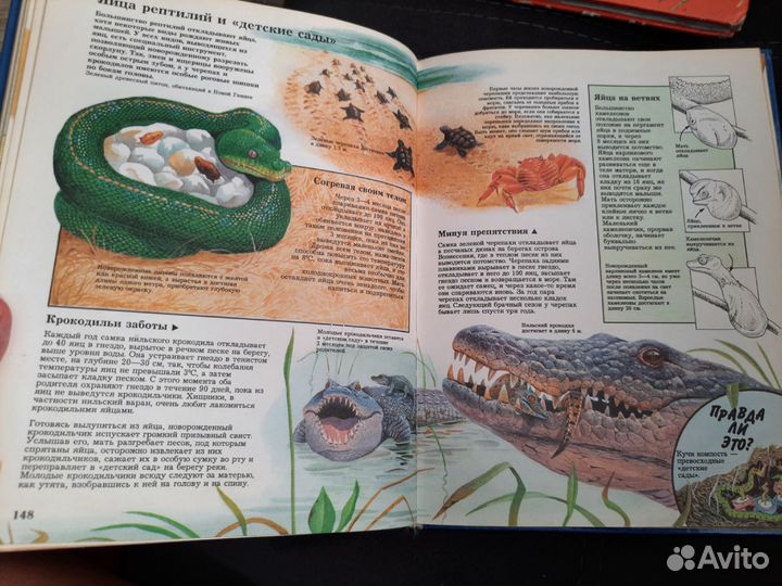 Энциклопедия Тайны живой природы