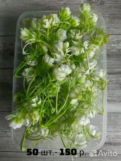 Набор для мыловарения